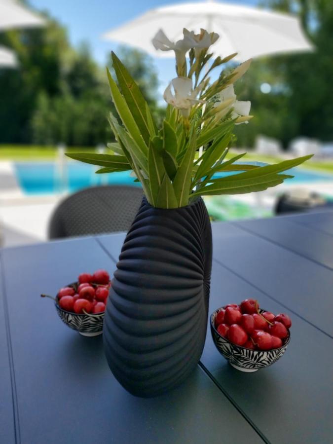 Villa Destiny Nedescina, Istrien, Kroatien Luaran gambar