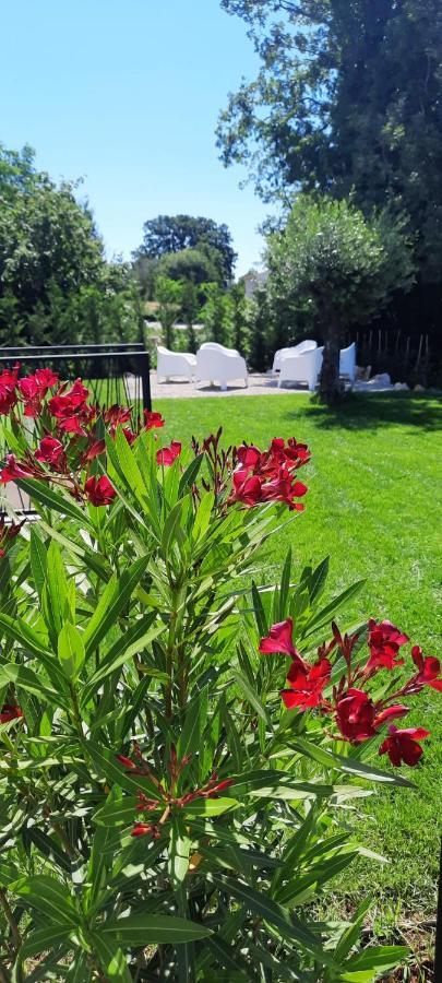 Villa Destiny Nedescina, Istrien, Kroatien Luaran gambar