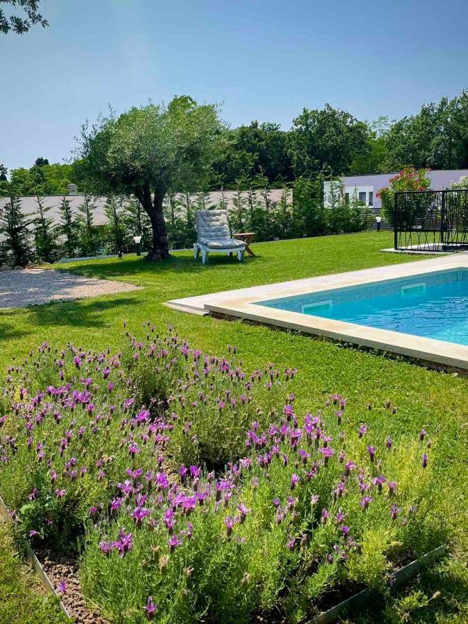 Villa Destiny Nedescina, Istrien, Kroatien Luaran gambar